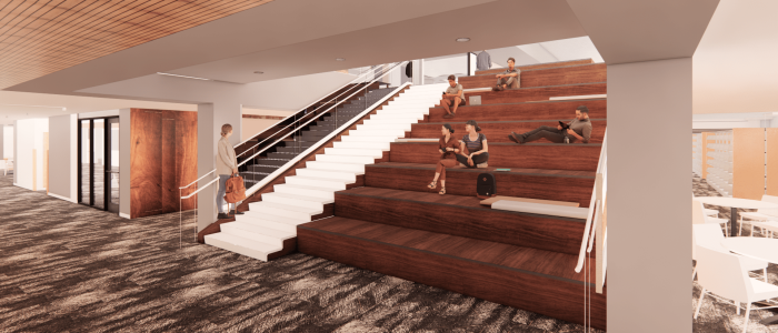 Amphitheatre seating on the learning stair that opens from the main level to the lower level