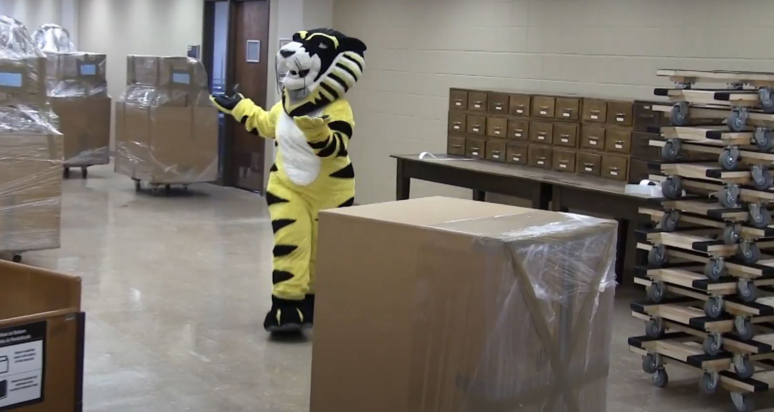 Victor E Tiger Learns About the Library Renovation